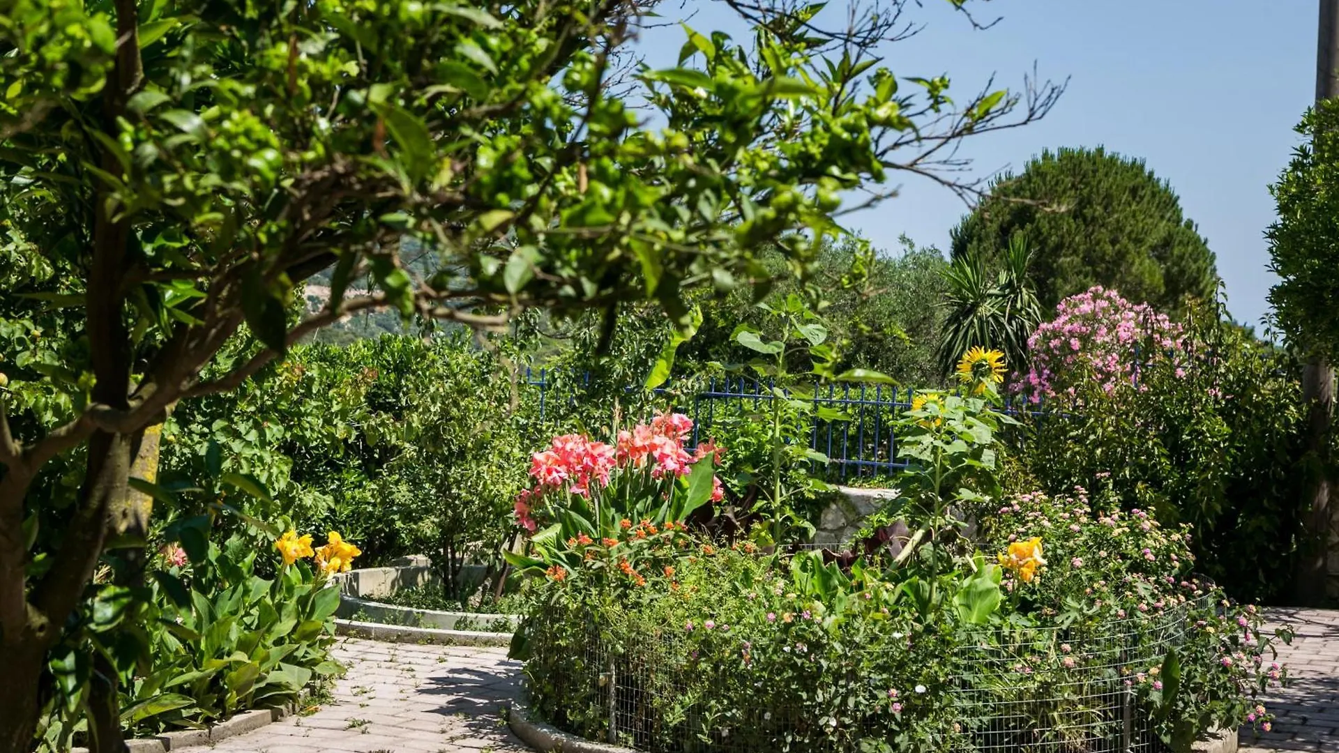 Apartment Moulinos Cottages Kefalonia Kardhakata